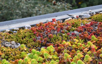 the cost of Trefor green roof installation