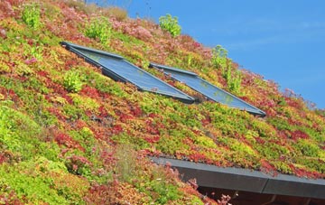 Trefor living roof systems