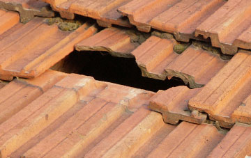 roof repair Trefor