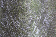 Trefor fibreglass roof work